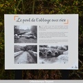 Rigodailles-Pont Abbaye aux Oies 50
