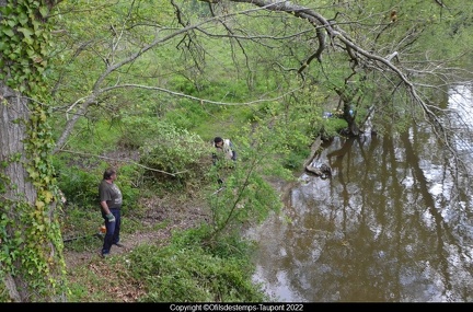 Le Pont-Neuf nettoye 29