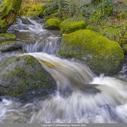 Expo photos Quillien