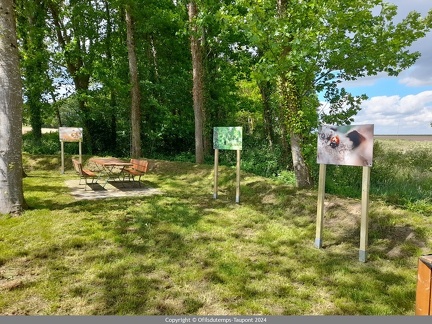 2024-expo photos au Quilien 34