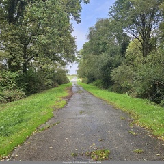2024-Septembre Pont Abbaye aux Oies 09