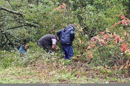 2024-Septembre Pont Abbaye aux Oies 56