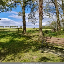 Nettoyage du site du Quillien