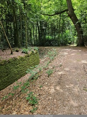 Sortie scolaire Ecole Rene-Guy Cadou 03