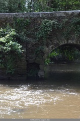 Alerte Pont de l Abbaye aux Oies 05
