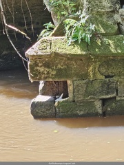 Alerte Pont de l Abbaye aux Oies 10