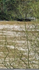 Le Pont de l Abbaye inondation de janvier 2025-2