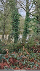 Le Pont de l Abbaye inondation de janvier 2025-3