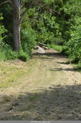 Le Pont de l Abbaye aux Oies apres le chantier 10