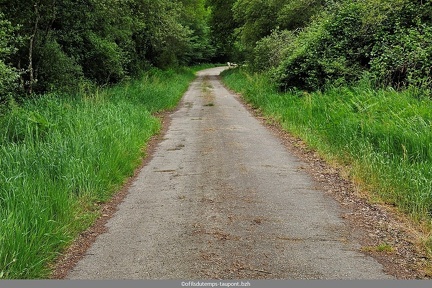 Le Pont de l Abbaye aux Oies avant le chantier 07