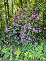 Le Pont de l Abbaye les adherents au travail 07