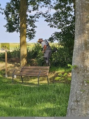 3 en juin les adherents au travail