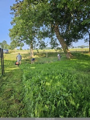 Le Quilien les adherents au travail 06