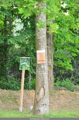 En juin le Quilien nettoye 02