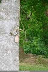 En juin le Quilien nettoye 03